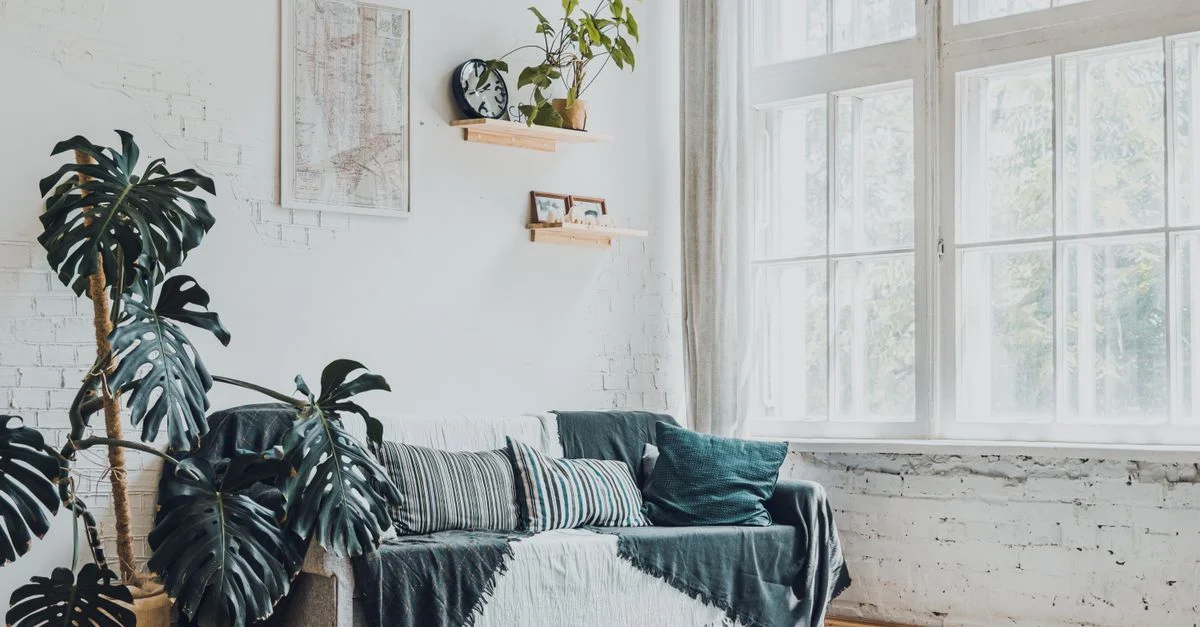 Salon lumineux et moderne avec des plantes monstera et une décoration confortable.