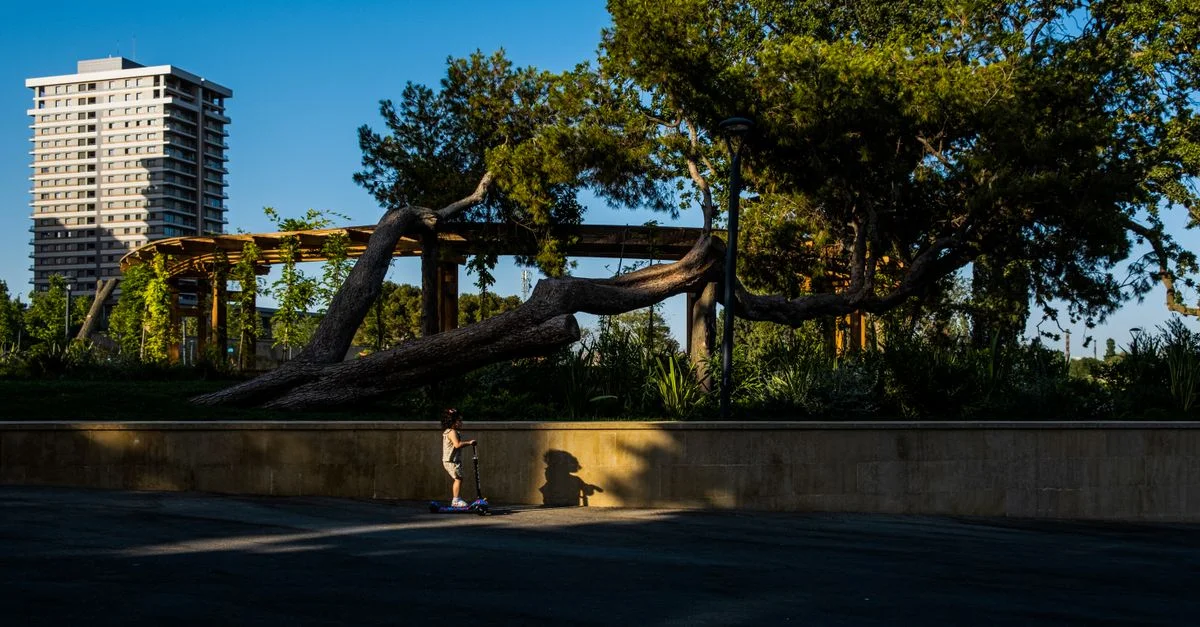 Un enfant à trottinette passe sous des arbres dans un parc urbain en journée.